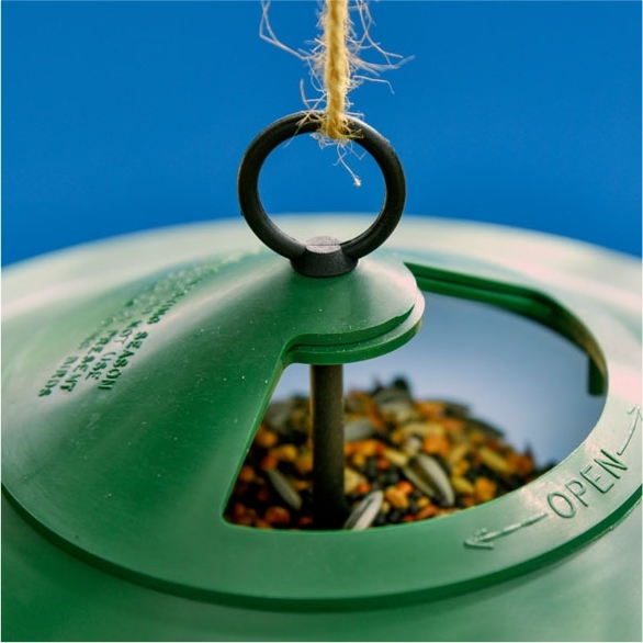 Mix de graines hiver 1kg pour oiseaux