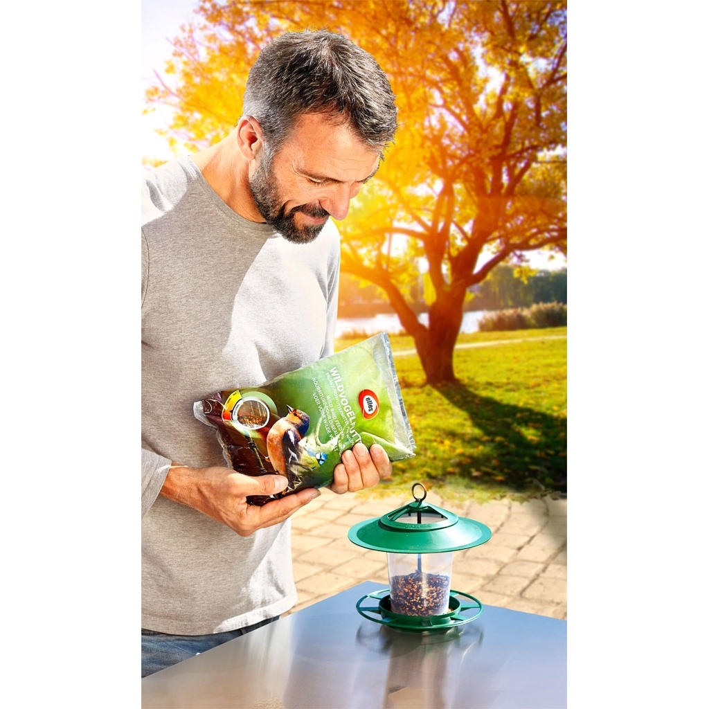 Mix de graines hiver 1kg pour oiseaux