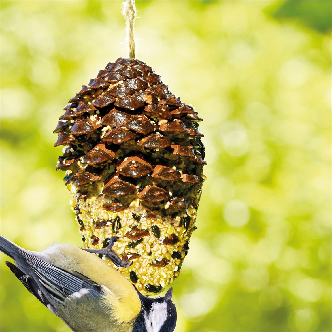 Pomme De Pin Fourrée Géante 330g – Nourriture Pour Oiseaux | EMMA's GARDEN