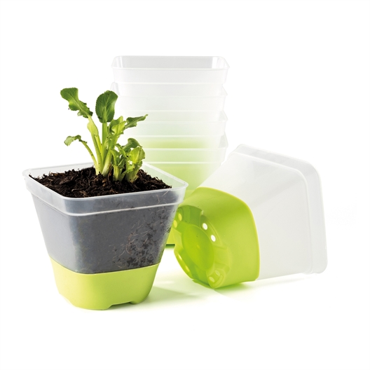 Lot de 6 pots pour semis