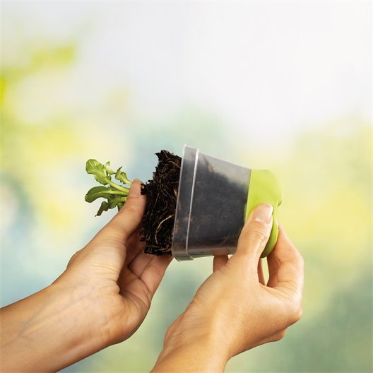 Lot de 6 pots pour semis