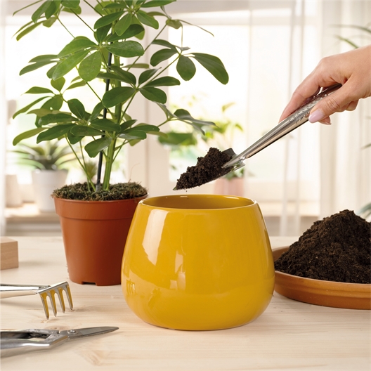 Set d'outils de jardin d'intérieur