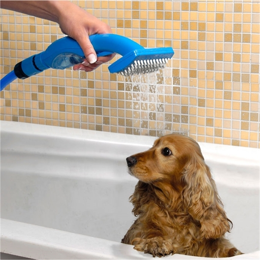 Brosse douche animaux