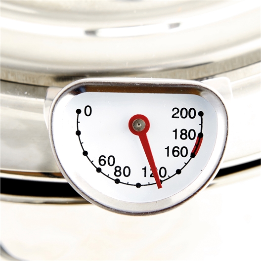 Friteuse inox couvercle grille