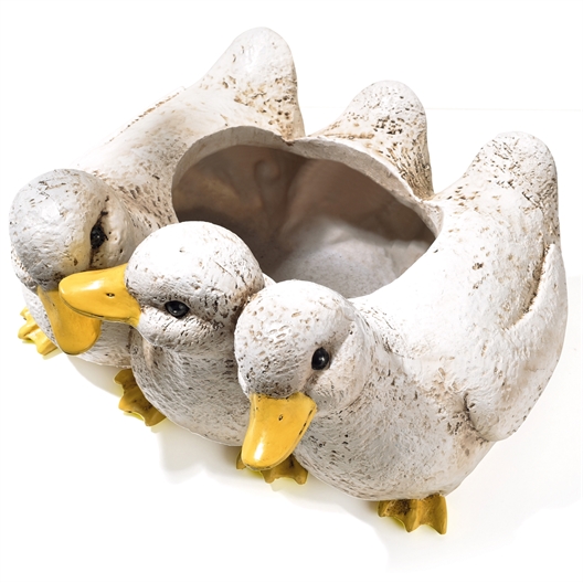 Jardinière canetons