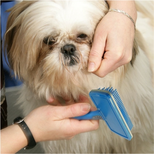 Brosse auto-nettoyante