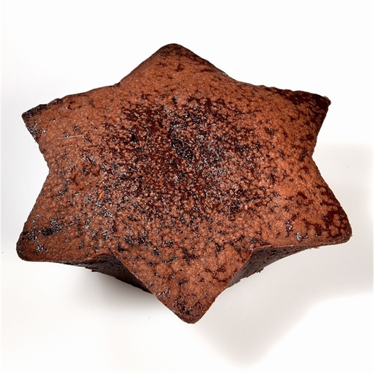 Moule sapin en silicone