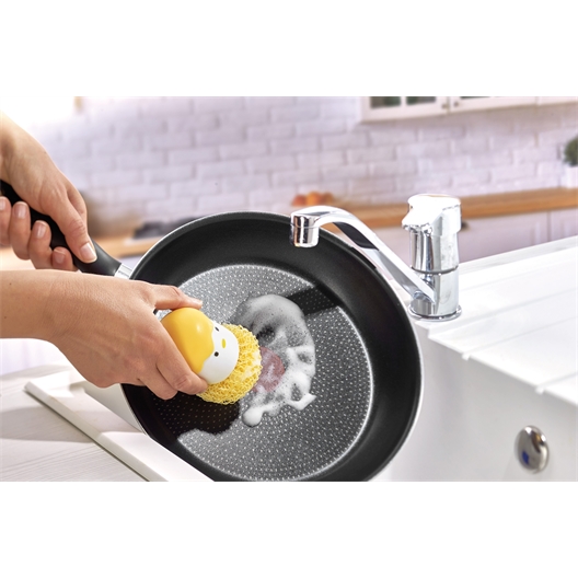 Poussin pique éponges