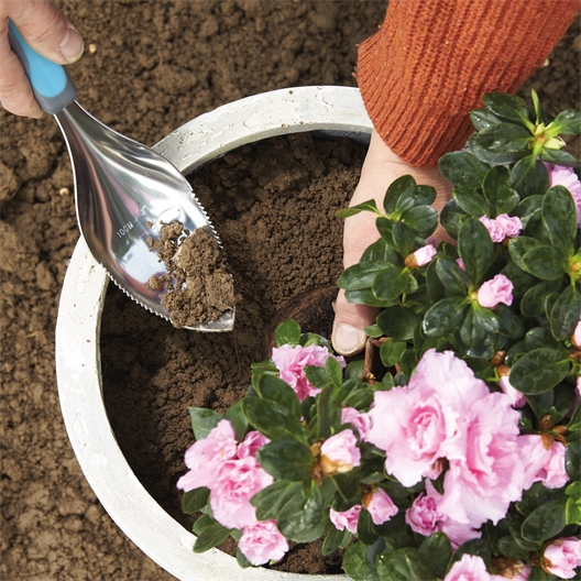 Outil de jardinage multifonctions