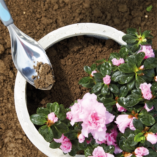 Outil de jardinage multifonctions