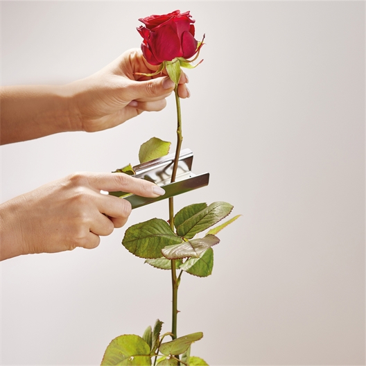 Pince retire épines