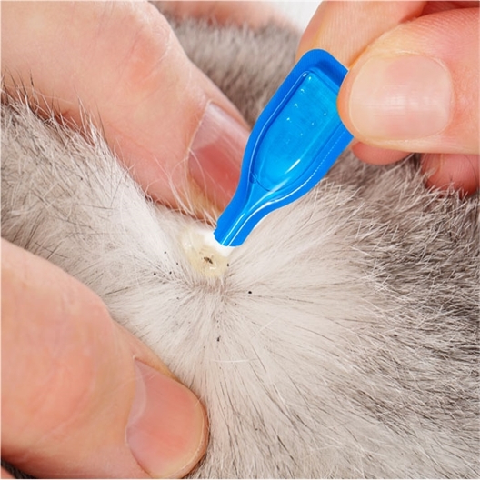 Pipettes stop parasites gros chiens 15-30 kg