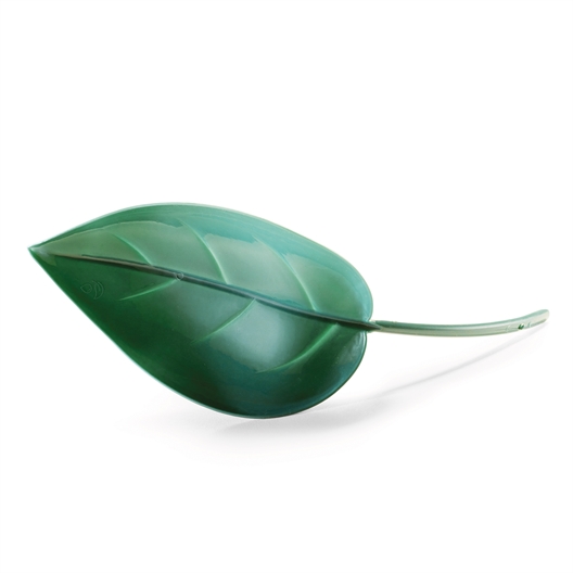 Lot de 2 feuilles arroses plantes