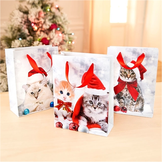 Lot de 3 sacs cadeau chatons