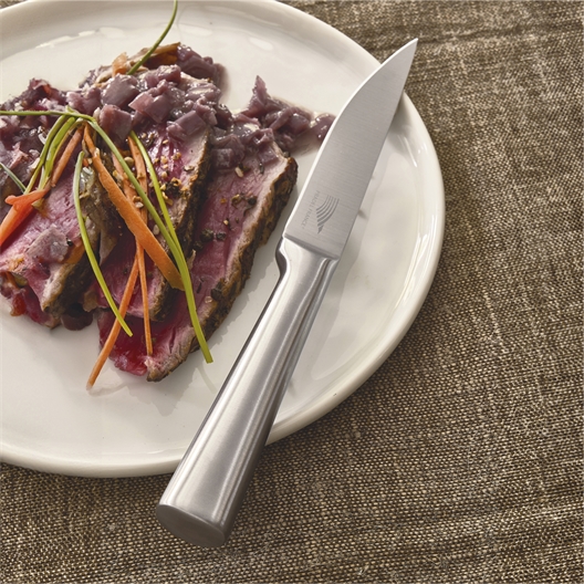 Lot de 6 couteaux à steak inox PRADEL FRANCE®