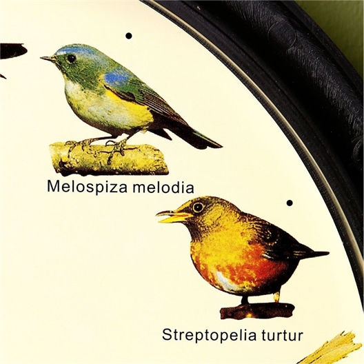 Horloge musicale oiseaux