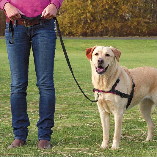 Harnais anti-traction - 3 tailles