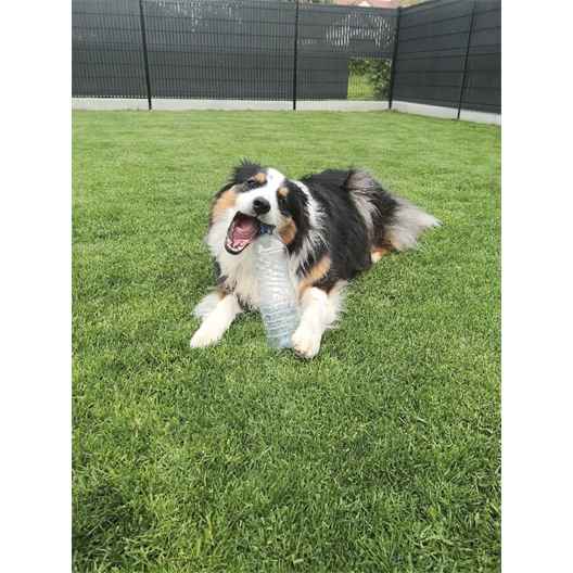 Jouet pour chien Crunchy Bone