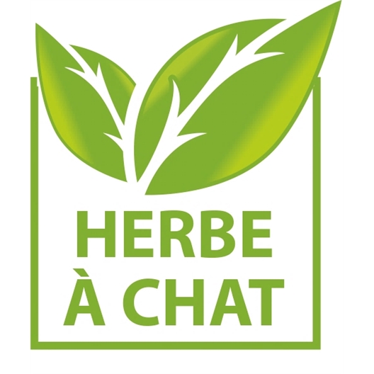 Poisson clown gigotant pour chat