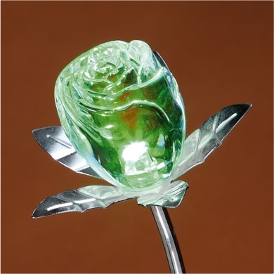 Rose changement de couleur