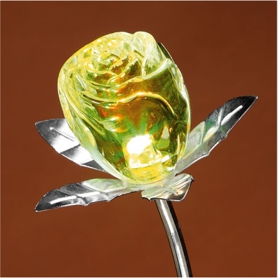 Rose changement de couleur