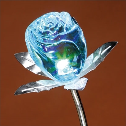 Rose changement de couleur