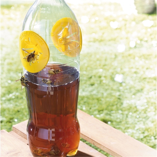 Lot de 6 pièges à guêpes pour bouteilles