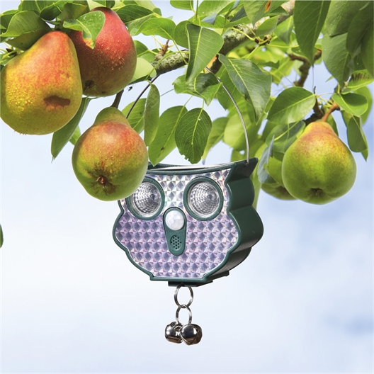 Répulsif solaire hibou