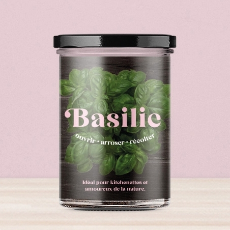 Potager : diverses variétés