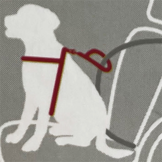 Ceinture de sécurité universelle pour chien