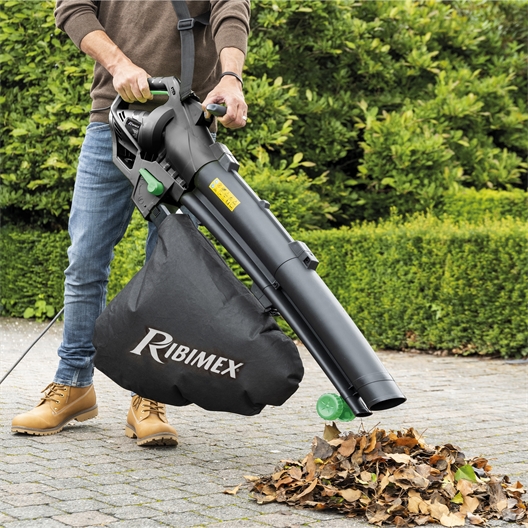 Souffleur à feuilles