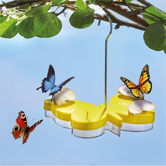 Mangeoire pour papillons