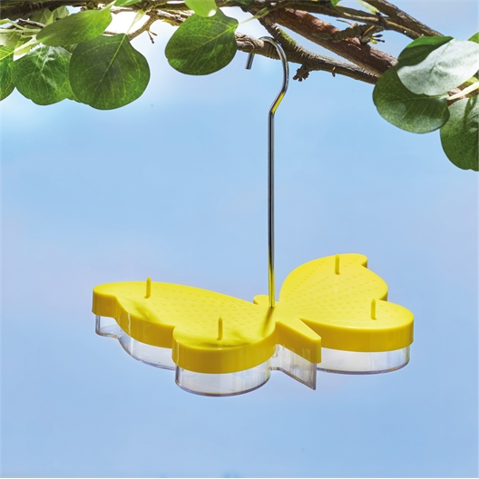 Mangeoire pour papillons