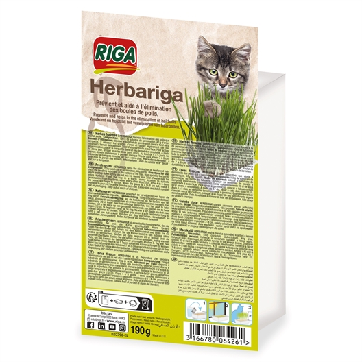 Herbe fraîche pour chat