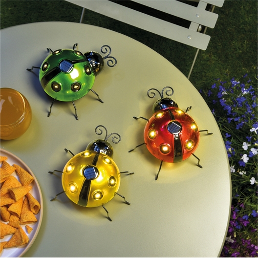 Coccinelle décorative : divers coloris