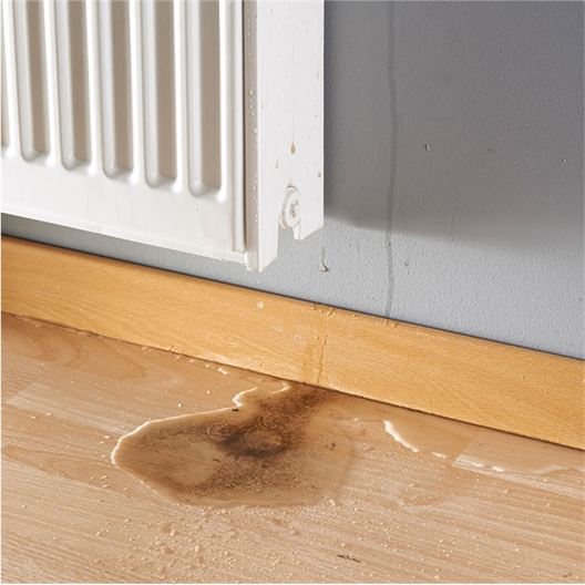 Purgeur de Radiateur