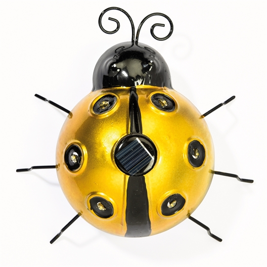 Coccinelle décorative : divers coloris