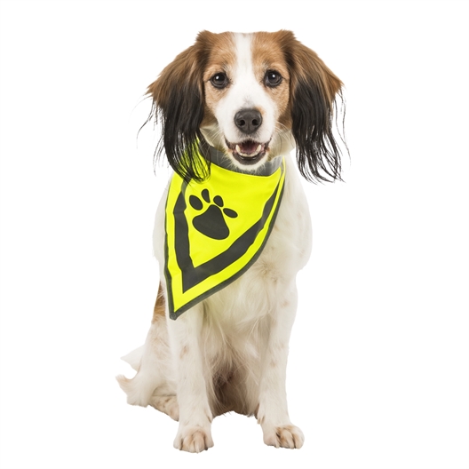 Bandana sécurité pour chien taille S/M