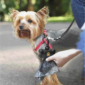 Distributeur sac de propreté