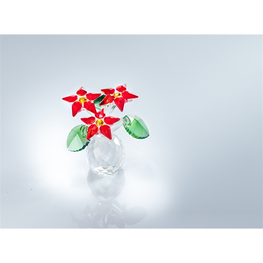 Fleur éternelle poinsettia