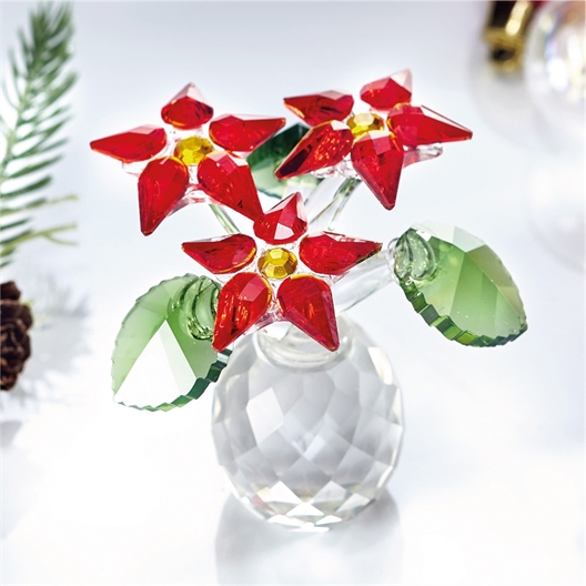 Fleur éternelle poinsettia