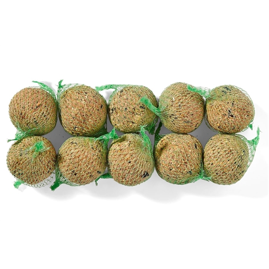 Mangeoire pour oiseaux + 1kg de graines + 10 boules de graisse