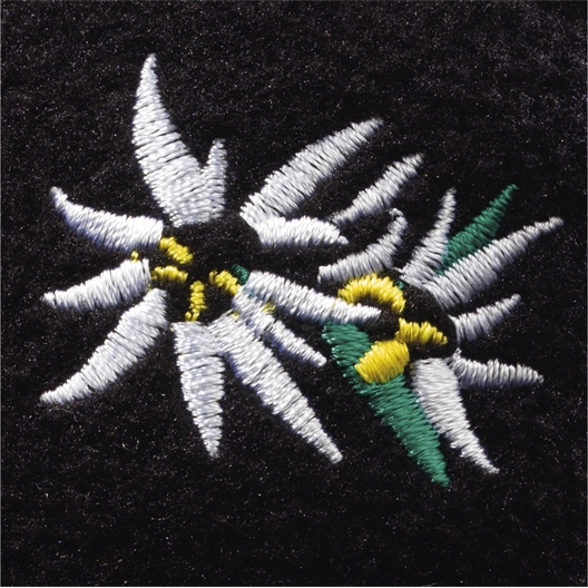 Couvre-oreilles brodé