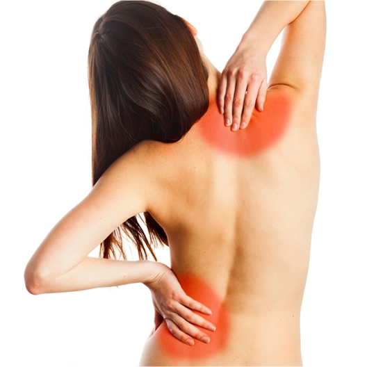 Lot de 5 patchs "Stopdol"