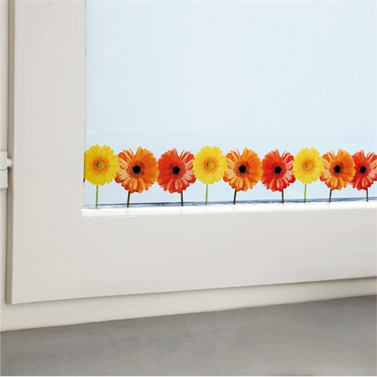 20 bandes adhésives anti-mouches gerbera