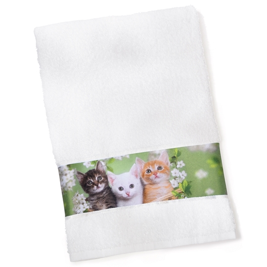 Lot de 3 serviettes éponge chatons