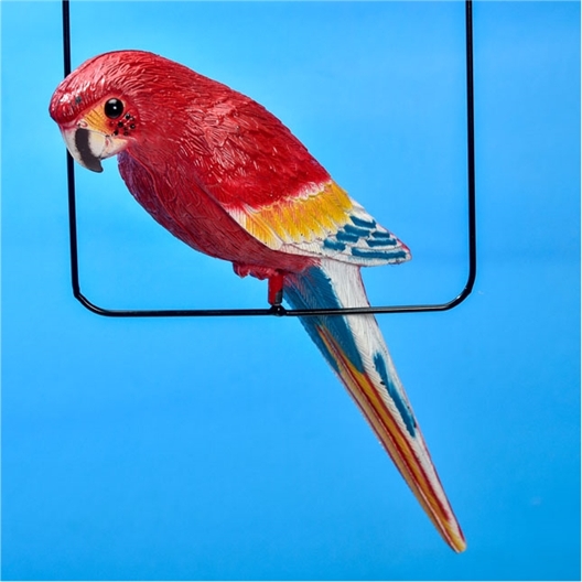 Suspension perroquet