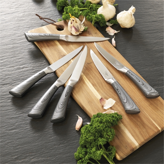 Lot de 6 couteaux à steak design Pradel France ®