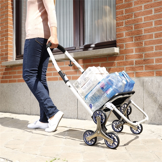 Chariot de courses bleu