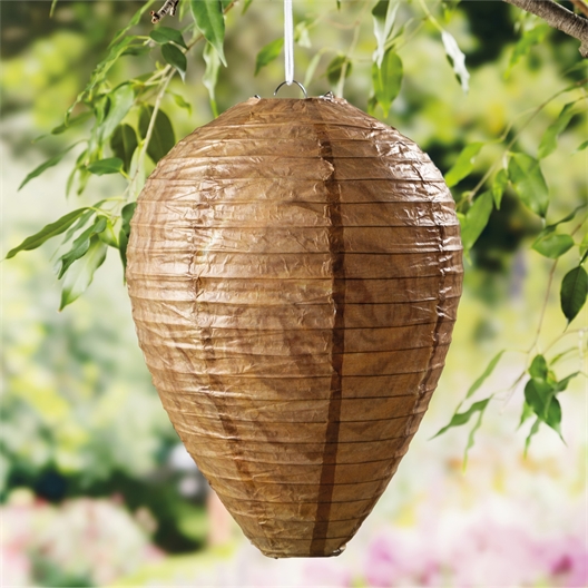 Lot de 2 leurres à guêpes